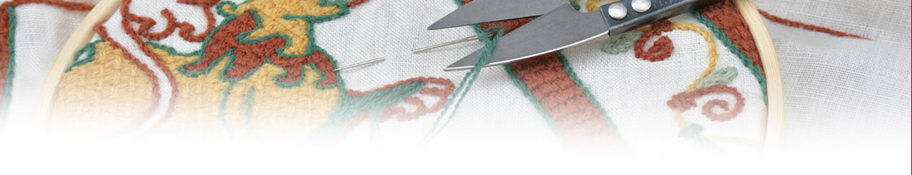 Broderie Kit Point de Bayeux